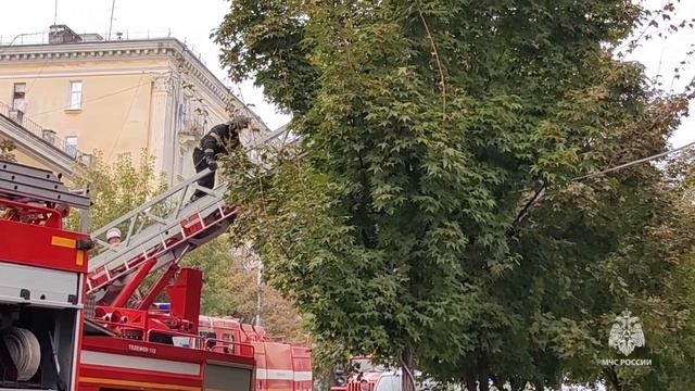 Огнеборцы тушат ресторан 