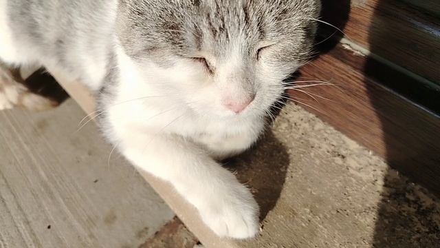 ВЛОГ БУДКА СДЕЛАНА!😻 Выходной📺
