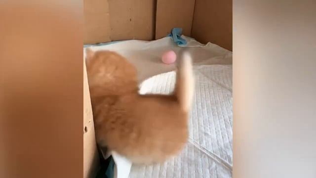 ЮМОР И ПРИКОЛЫ 😜😜😜
