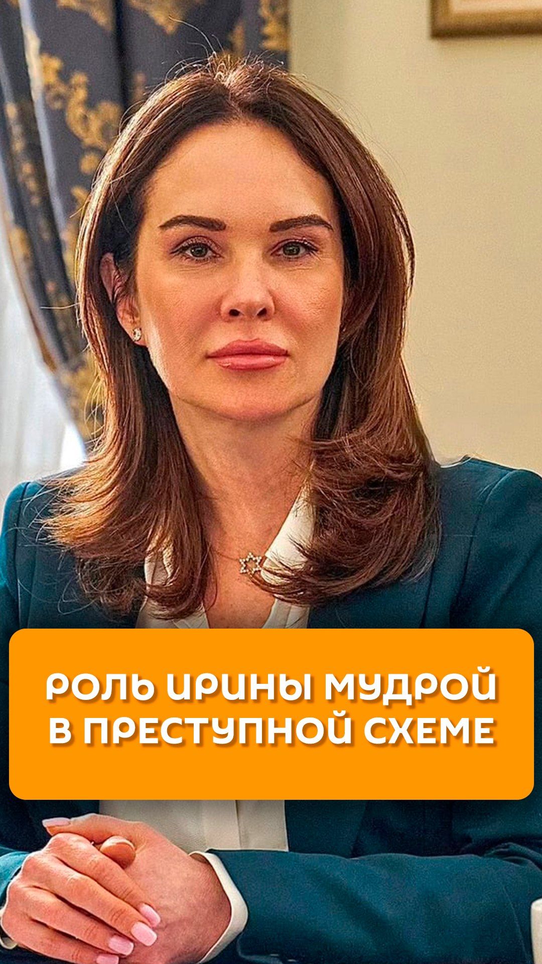 Роль Ирины Мудрой в преступной схеме