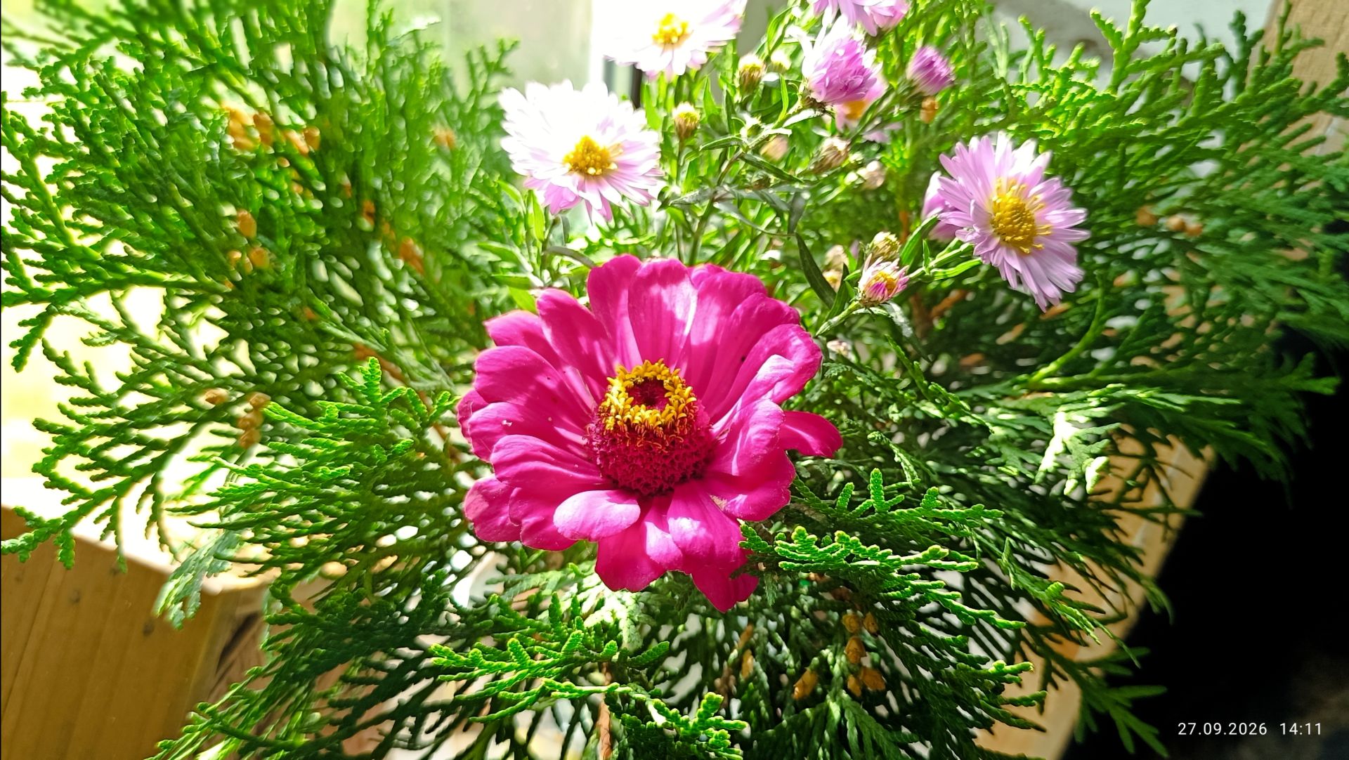 Вкусный обед у 🦋🦋🦋