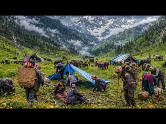 Красивая жизнь пастухов в Западном Непале 🐑🏔️ | Бедная, но счастливая семья