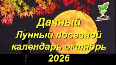 Лунный посевной календарь на октябрь 2026: благоприятные дни и что сажать