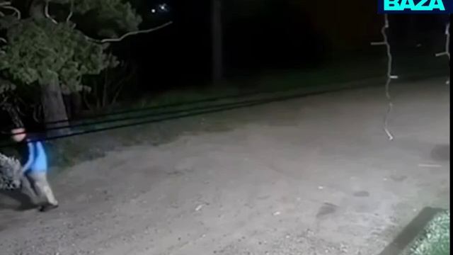 В Ангарске мужчина выкопал гортензии у храма после того, как трижды перекрестился.
