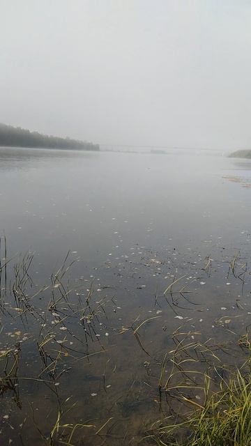 ⚓🚤Река Ока,с утра 27 сентября.2026г.