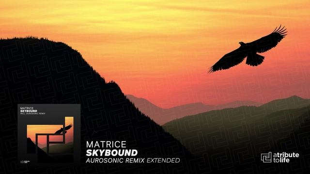 Matrice - Skybound (Aurosonic Extended Remix)