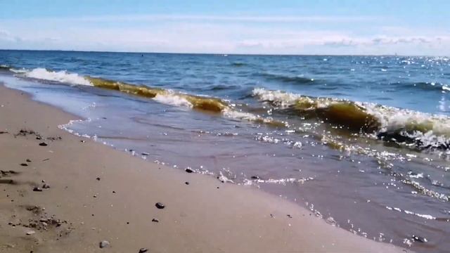 Прогулки зелёного медвежонка. №20, 26.07.2020 г.