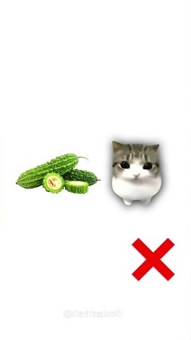 🐱 Дам Дам Диди Диди Кот любит покушать