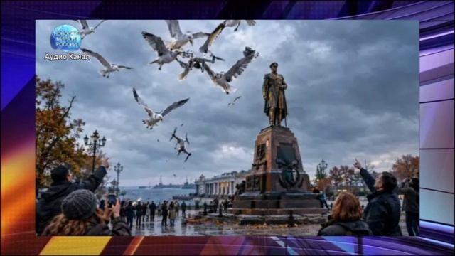 В Севастополе чайки сбили беспилотник над площадью Нахимова