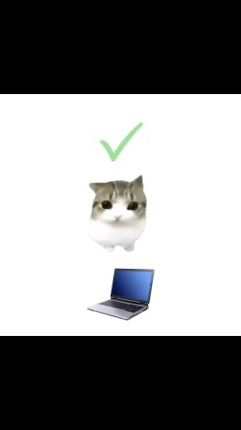 🐱 Дам Дам Диди Диди Кот 😂 | КОТ-МЕМ