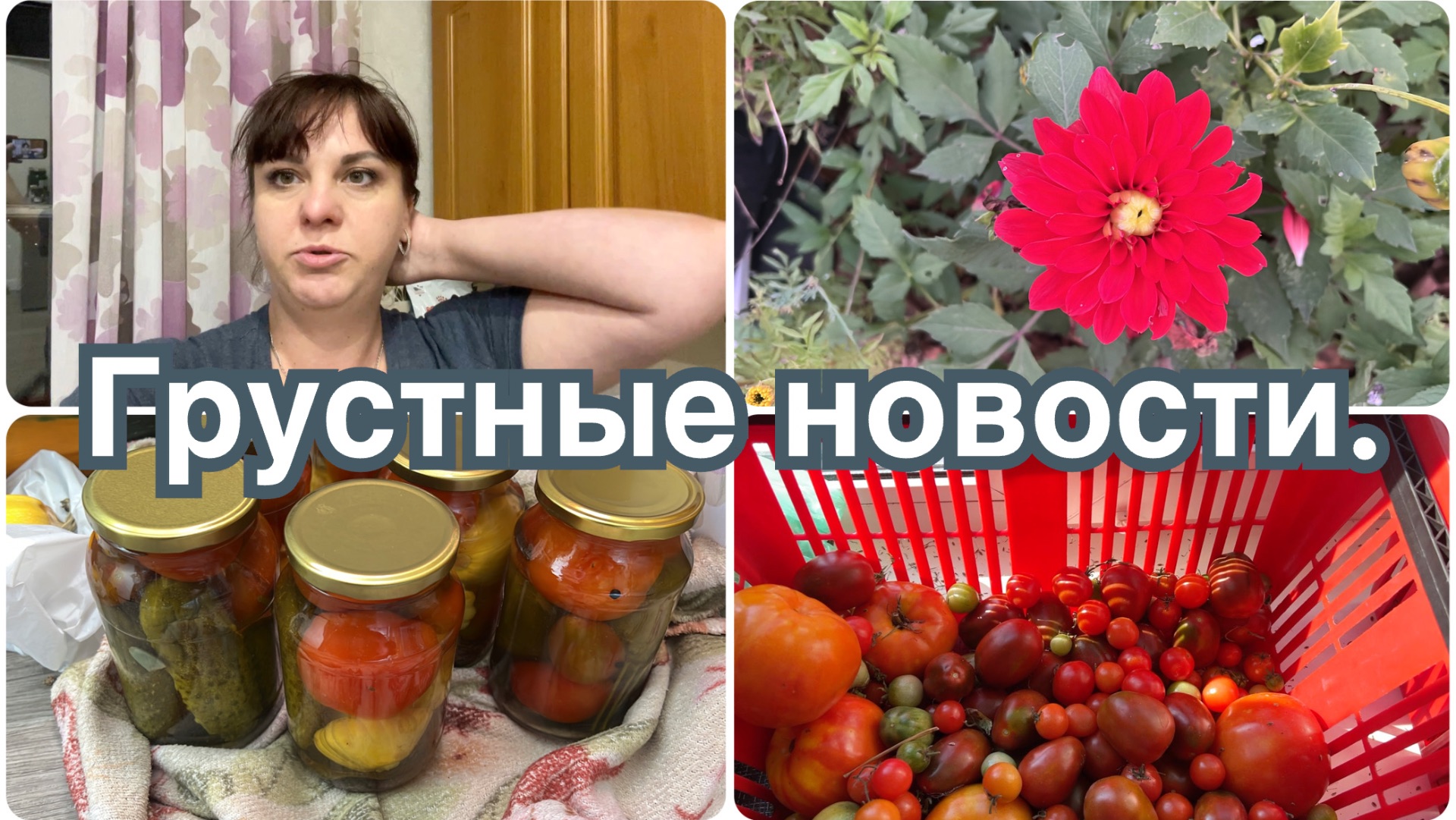Грустные новости, поэтому не снимала. Много покупок WB, Галамарт, Монетка.  На дачу.