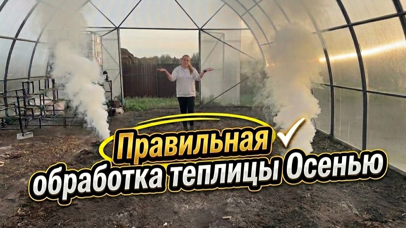 ПОМЫЛА ТЕПЛИЦУ БОЛЕЕ 100 квадратов. ПОДГОТОВКА ТЕПЛИЦЫ К 2027 сезону.