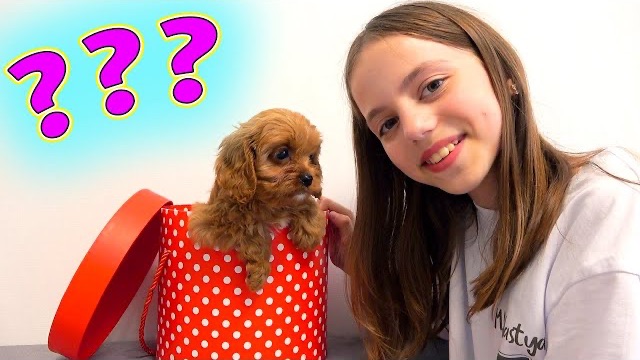 Моя СОБАЧКА как назвать первые покупки видеоблог My Little Nastya