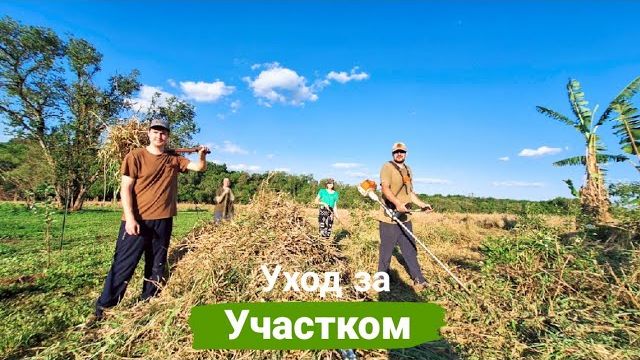 КАК ВЫЖИВАЮТ РУССКОЯЗЫЧНЫЕ В ПАРАГВАЕ: Работа продолжается в нашем новом доме в Парагвае