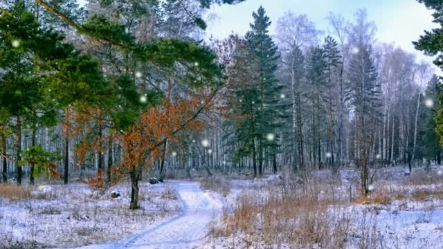 Первый Снег.