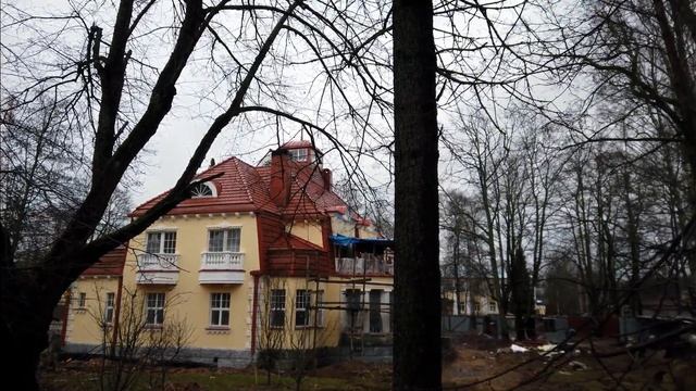 Прогулки зелёного медвежонка. №47, 28.11.2020