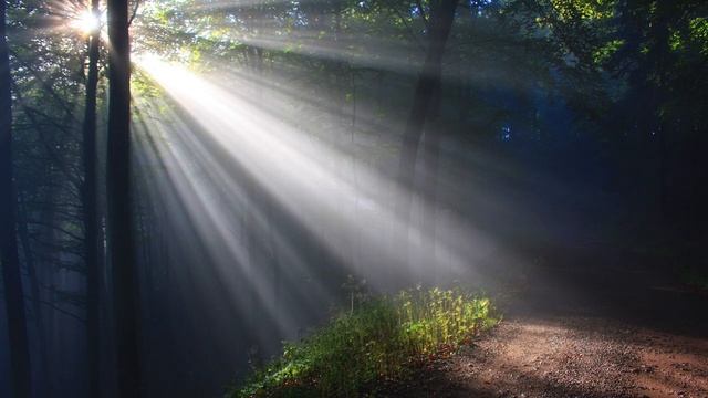 Magdalena Bradley - Weight Of The Sunlight