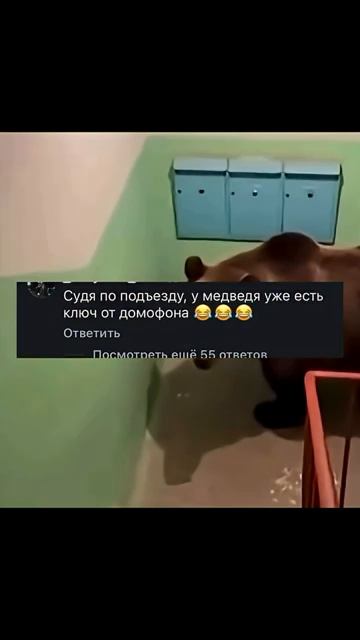 А Маша выйдет смешно смешноевидео