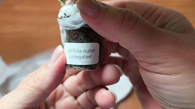 Посылочка. Новинки.