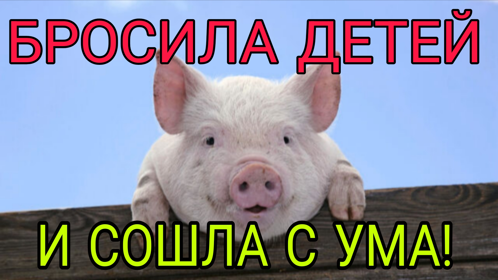 ПРОМЕНЯЛА ДЕТЕЙ НА МОЛОДОГО ХРЯКА. ВЫМЫШЛЕННАЯ ИСТОРИЯ.