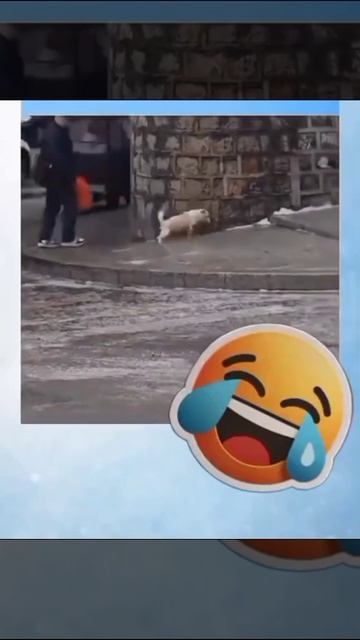 на летней резине