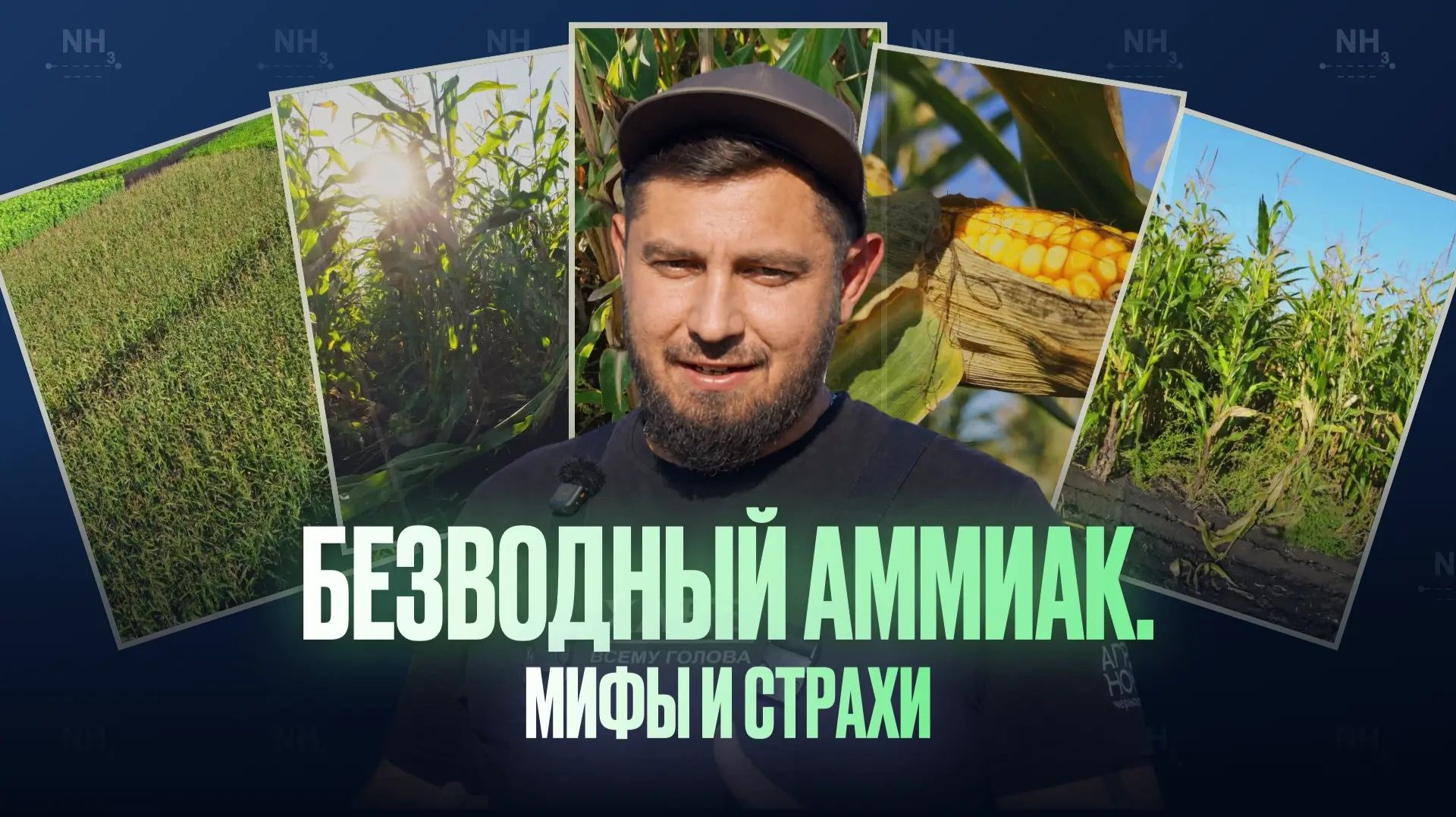 Как получить максимум от поля? Эксперименты с удобрением