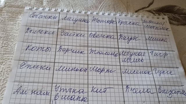 сп брелоко бинго