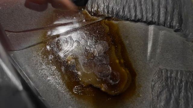 Mercasol 831 ML не пропитывает заводской воскс на автомобиле и это чудовищьно  плохо
