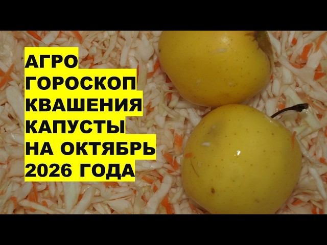Октябрь 2026: Самые Лучшие Дни для Квашения Капусты?!