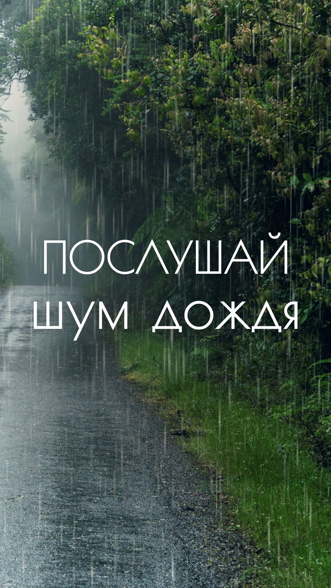Звуки дождя