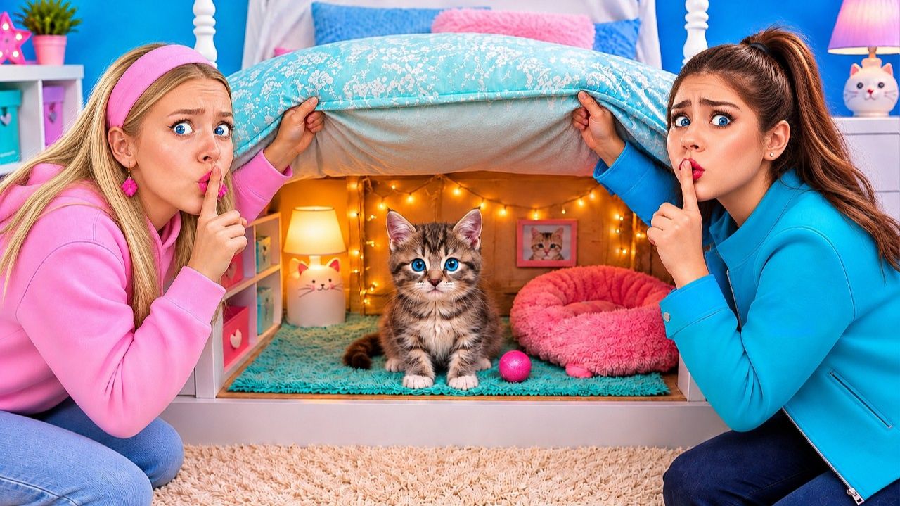 Как Спрятать Кота от Родителей # Строим Секретную Комнату