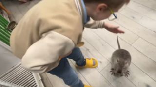 Мама, мы точно сюда пришли добровольно?