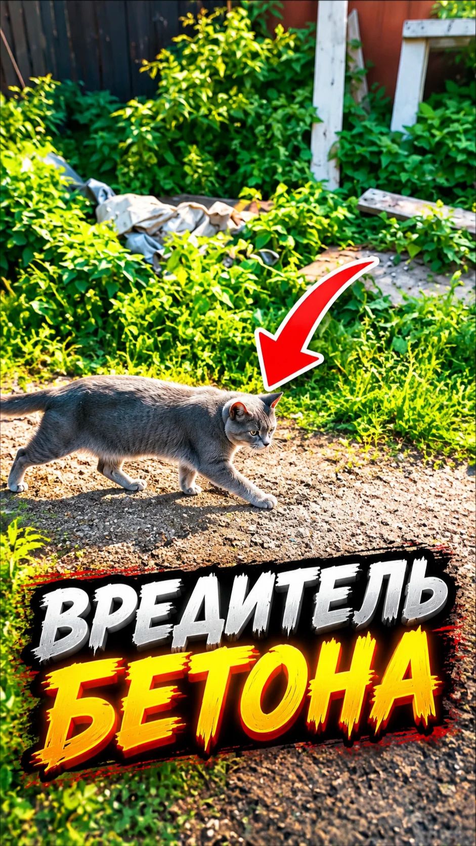 ЧУТЬ НЕ ИСПОРТИЛ ВСЮ РАБОТУ! #жизньвдеревне #стройка #построилидомиквдеревне