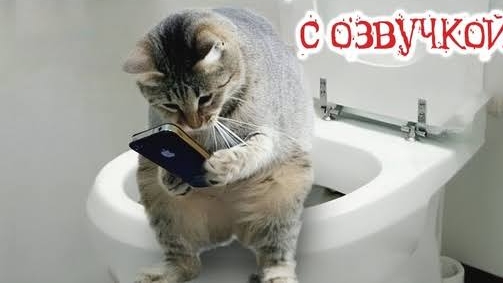 ЮМОР И ПРИКОЛЫ 😜😜😜