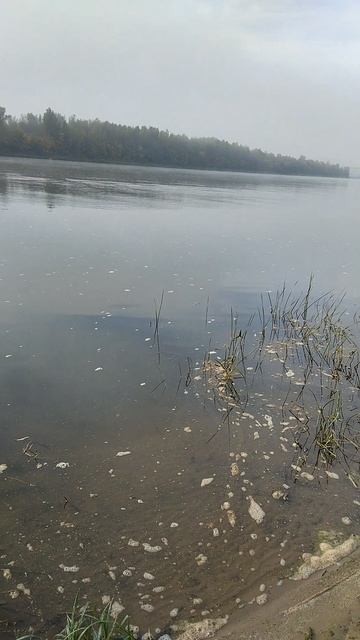 ⚓🐠🚤р Ока.8:48⌚27.09.2026г.