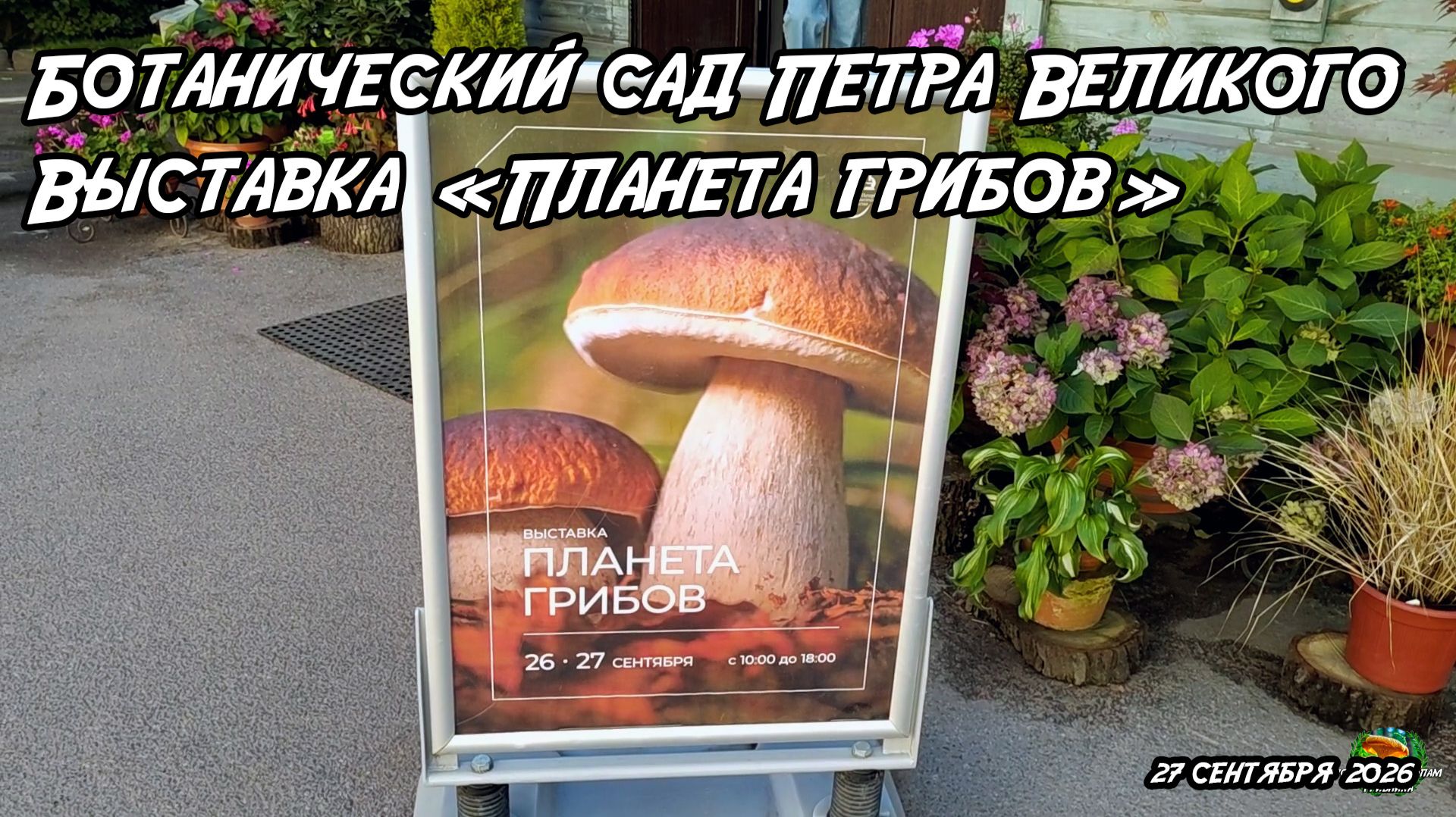 Ботанический сад Петра Великого. Выставка «Планета грибов» 27 сентября 2026