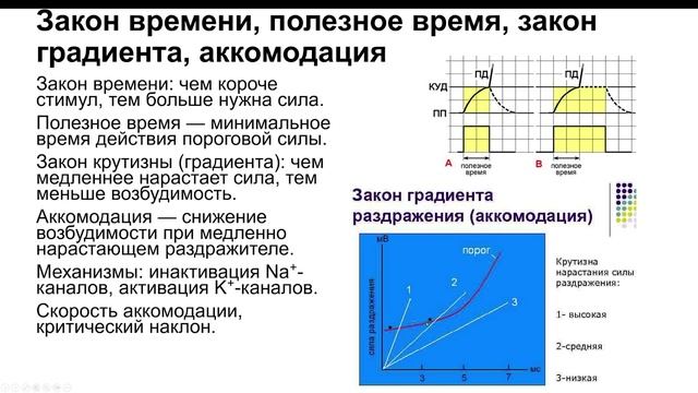 Нормальная физиология