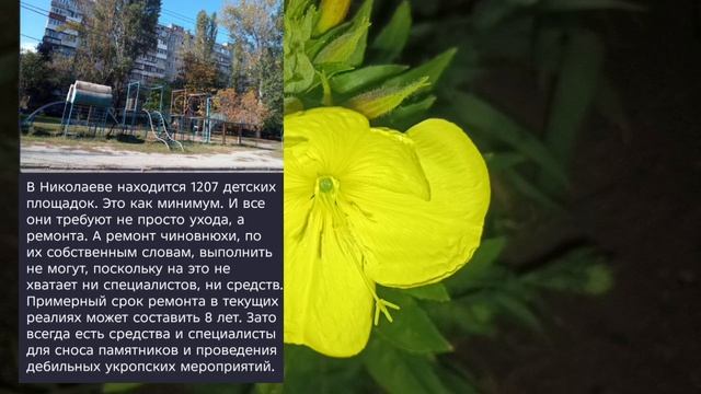 Николаев 27 сентября 2026 года (новости)