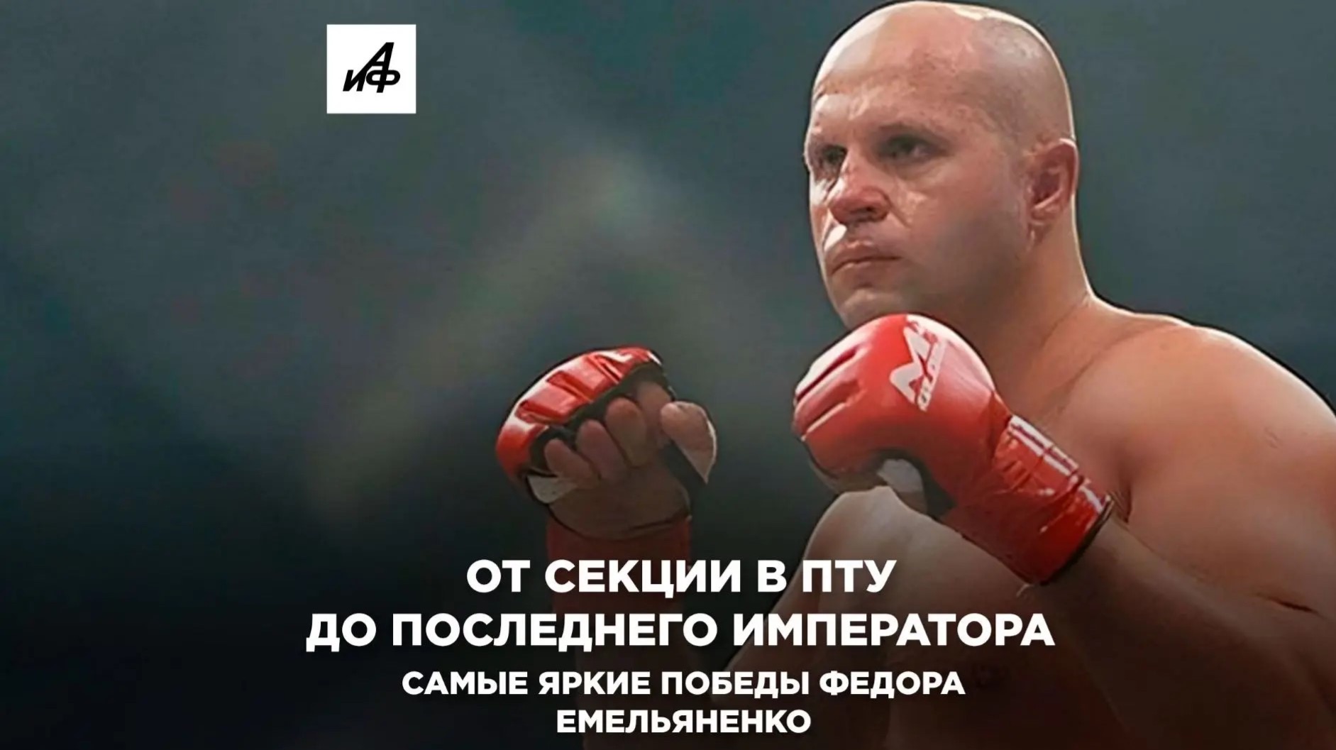 От секции в ПТУ до Последнего Императора. Самые яркие победы Федора Емельяненко