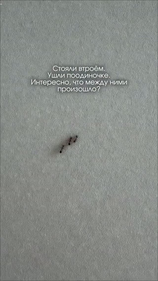 Разберем в Комментариях / Вход в Клуб в Описании