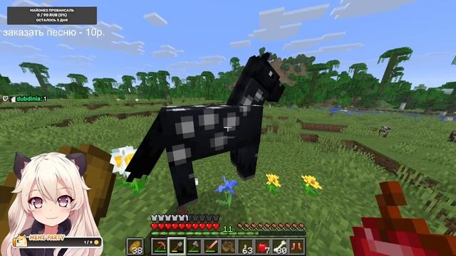 #5 Minecraft 30 000 000