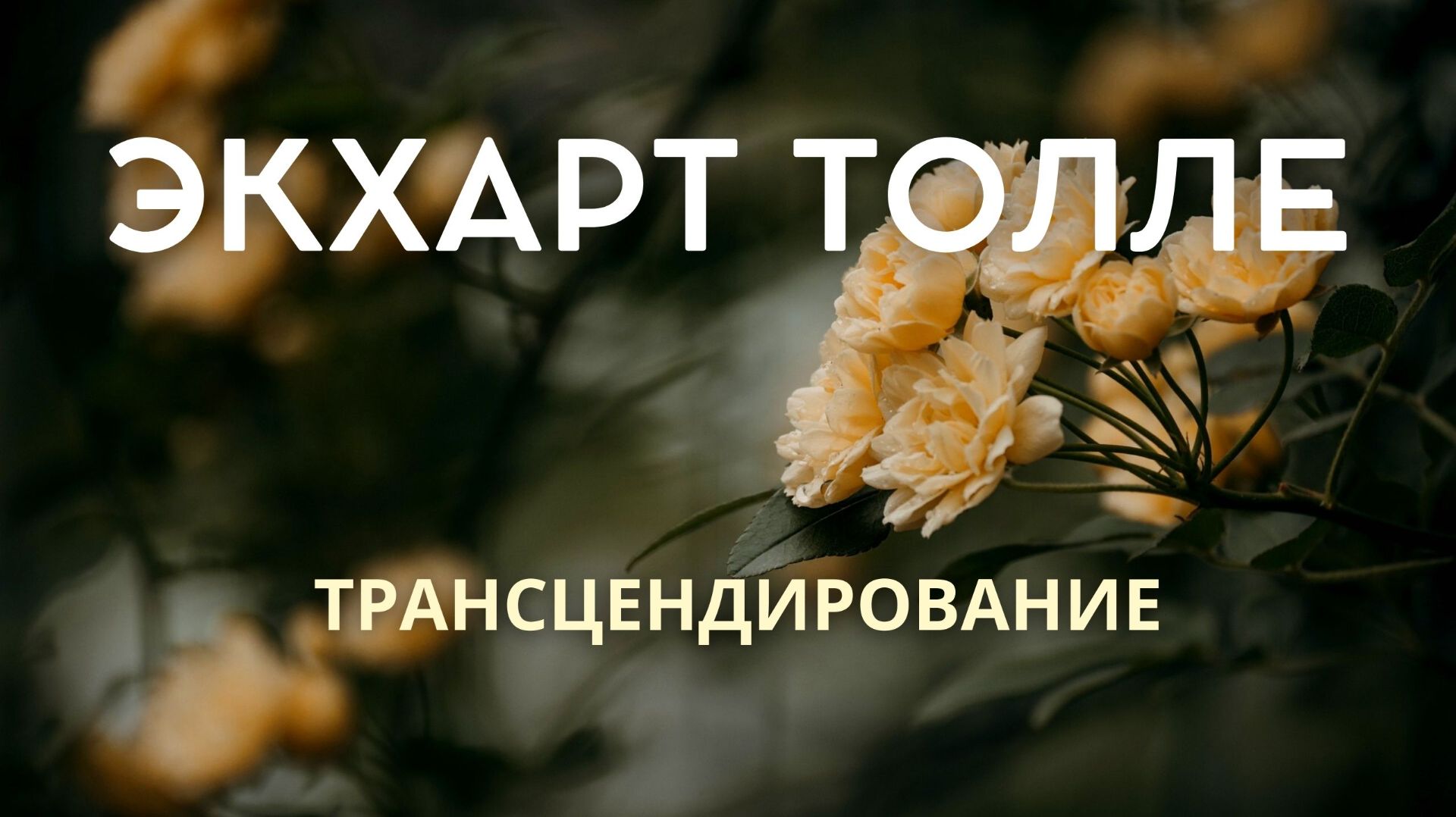 Трансцендирование. Экхарт Толле. Живой голос