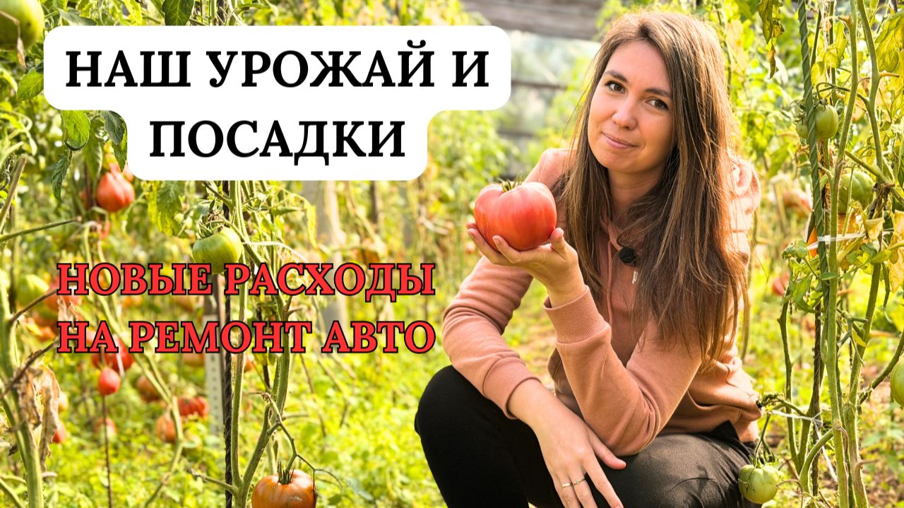 ОСЕННИЕ ПОСАДКИ И УРОЖАЙ/ Делаем ремонт авто, который долго откладывали/ Влог из Нижнего Новгорода