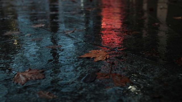 Magdalena Bradley - Autumn Glow