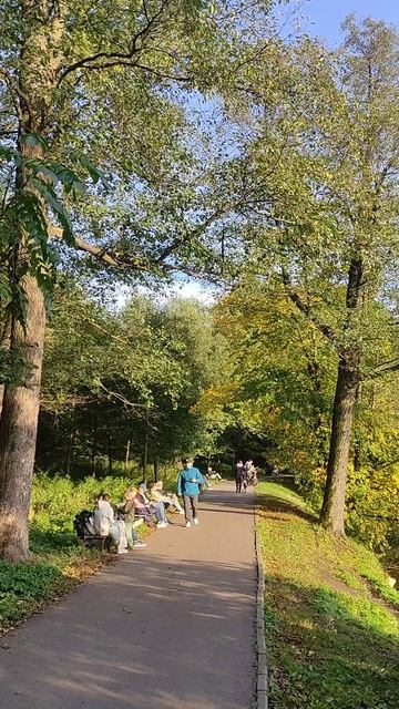 Бабье лето в парке Кузьминки. Осенняя прогулка. (Москва, Россия) Kuzminki Park. Moscow, Russia 2026