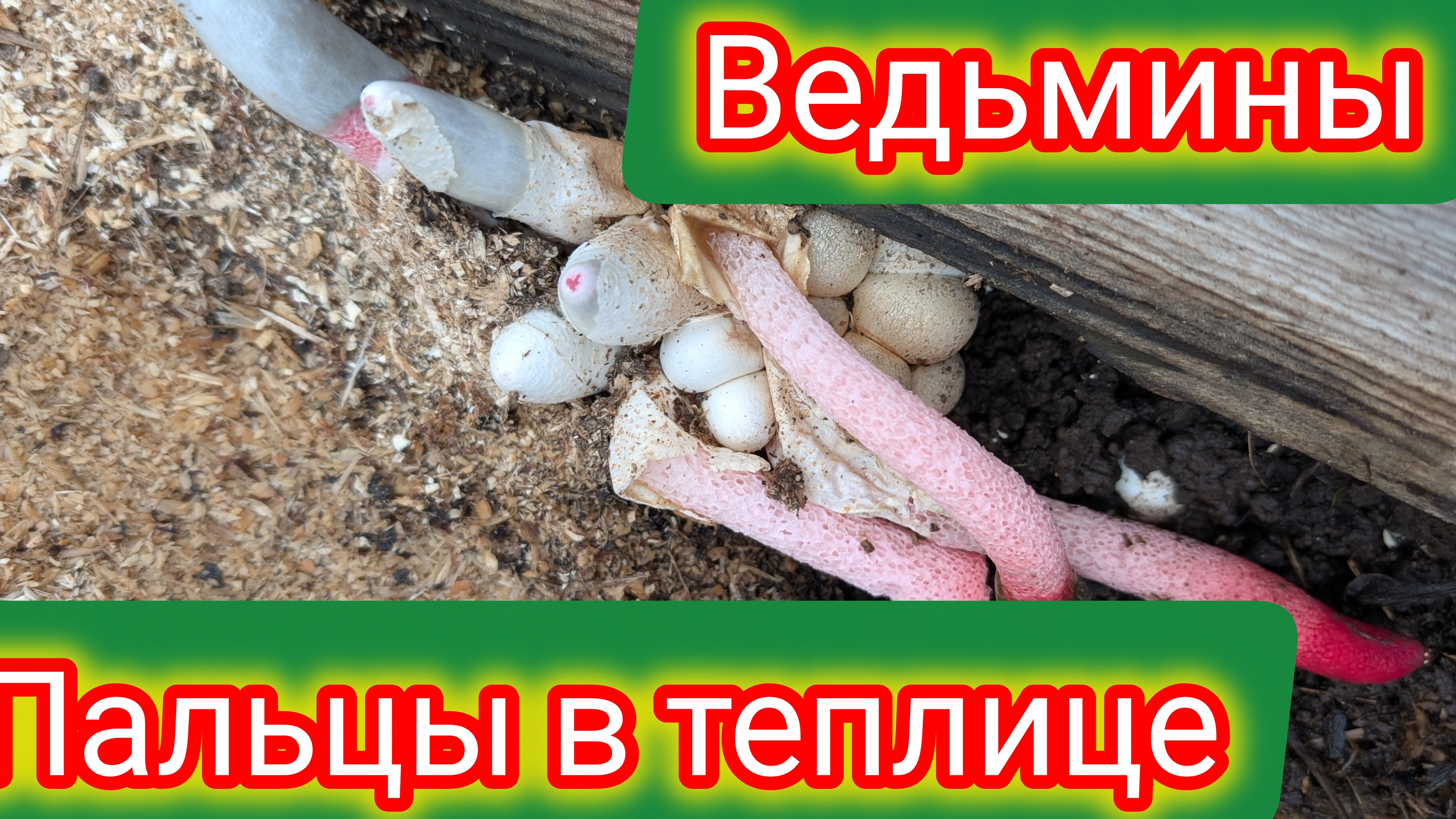 Чуть кони не двинула.