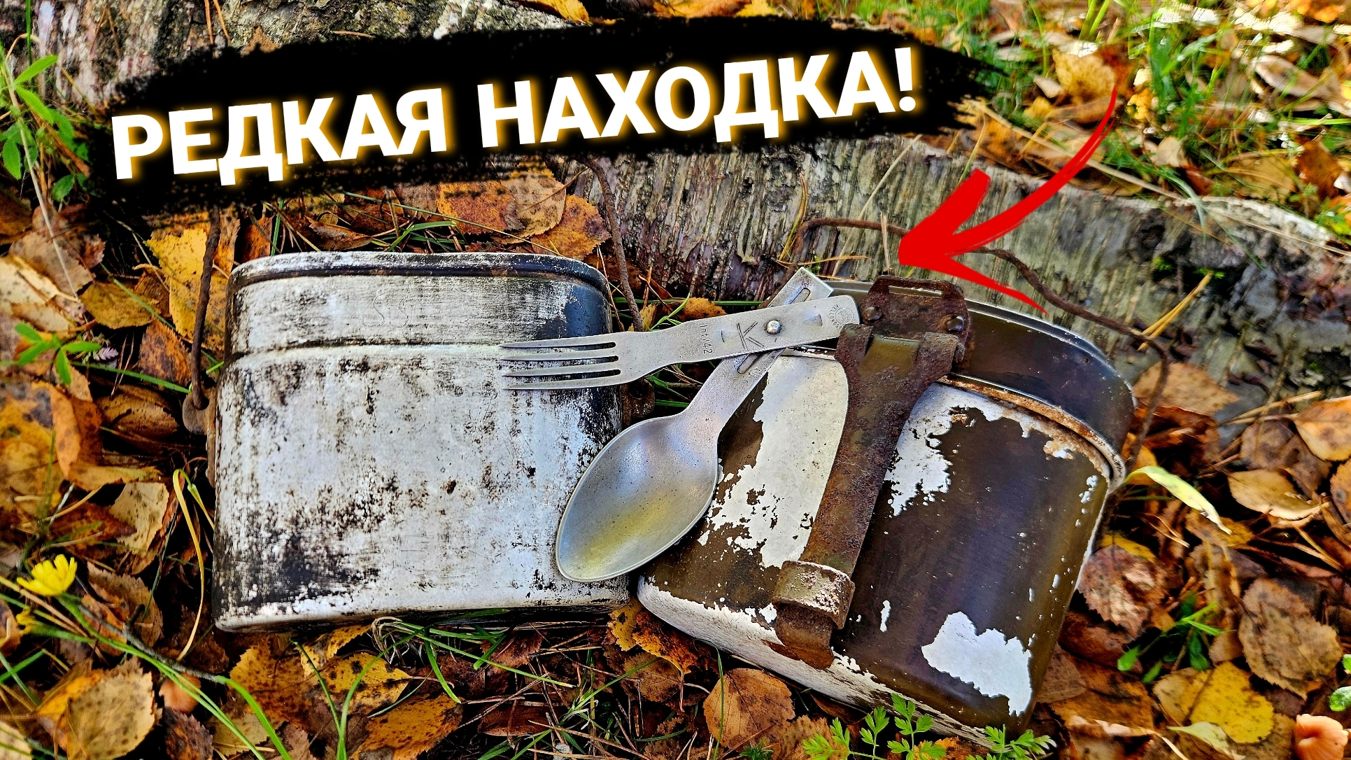 Они лежали рядом! РЕДКИЙ хабар и два котелка. Коп по войне в Ленинградской области / WW2