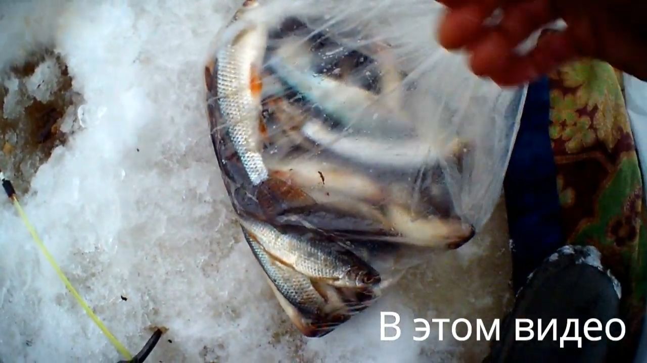 СУХАРИКИ С ЧЕСНОЧКОМ! СУПЕР ПРИКОРМКА ДЛЯ ПЛОТВЫ ( СОРОГИ )!