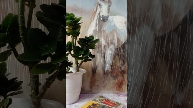 Таро.Кто думает о вас.