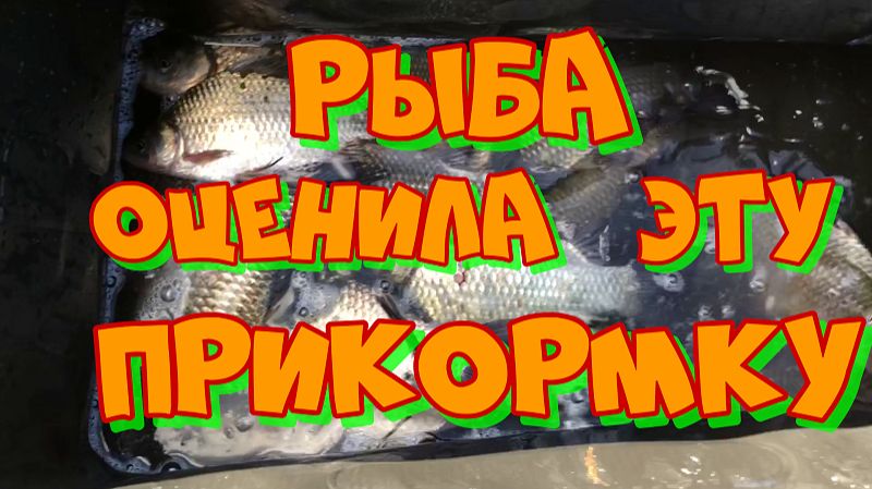 ПРИКОРМКА для РЫБЫ своими руками.